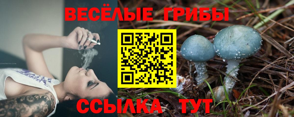 Кушва  Галлюциногенные грибы мицелий  Вход с VPN 